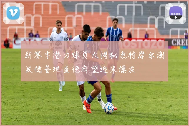 新赛季潜力球员大揭秘惠特摩尔谢泼德普理查德有望迎来爆发
