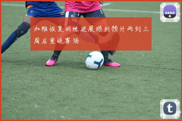 加维恢复训练进展顺利预计两到三周后重返赛场