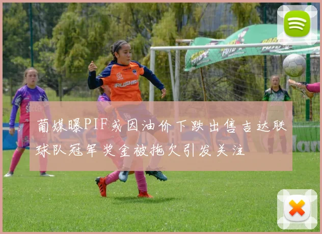 葡媒曝PIF或因油价下跌出售吉达联球队冠军奖金被拖欠引发关注