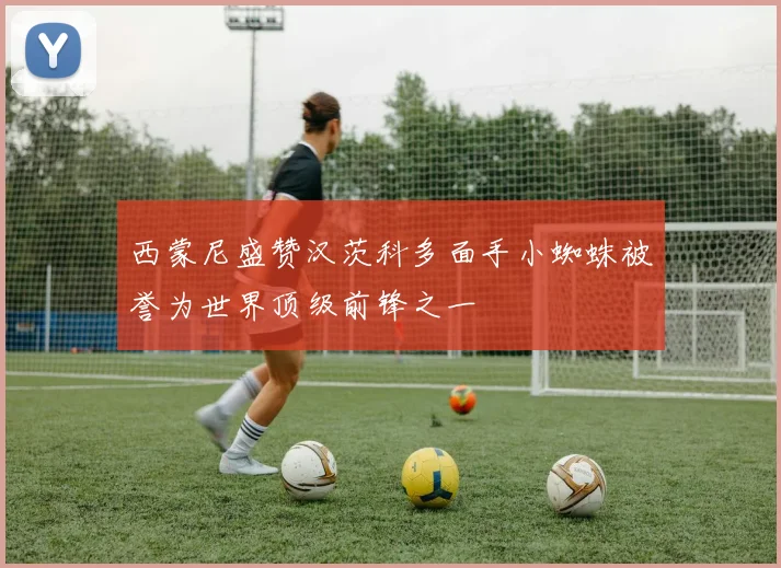 西蒙尼盛赞汉茨科多面手小蜘蛛被誉为世界顶级前锋之一