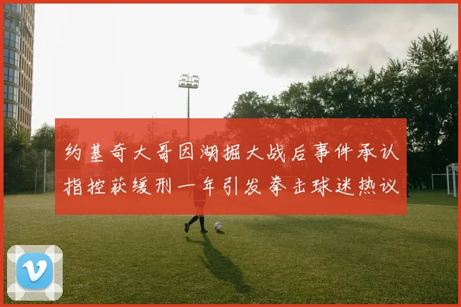 约基奇大哥因湖掘大战后事件承认指控获缓刑一年引发拳击球迷热议